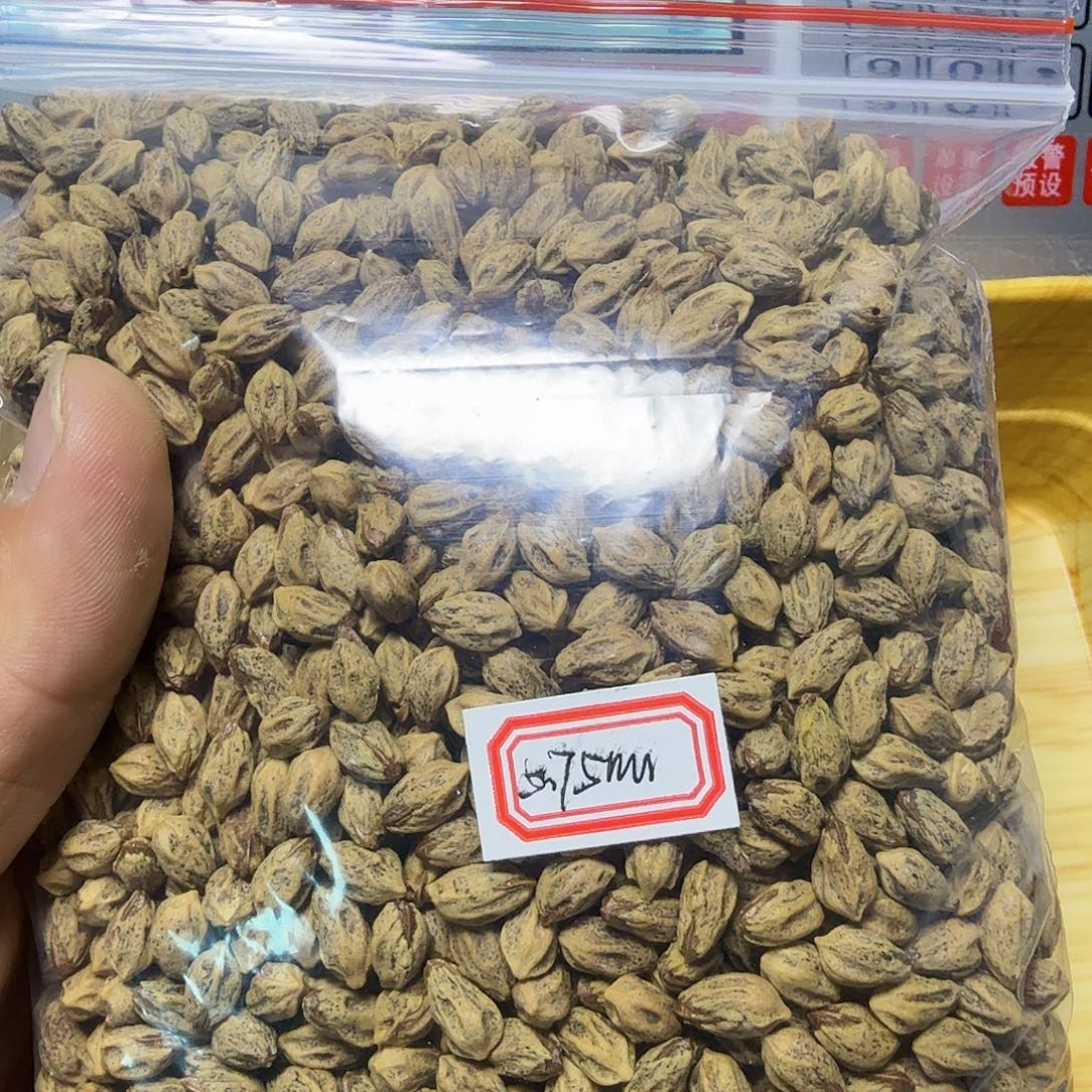 云***）吊坠柏香籽/百香籽