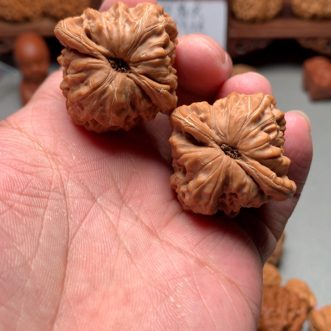 桃核吊坠白蛇骨核桃