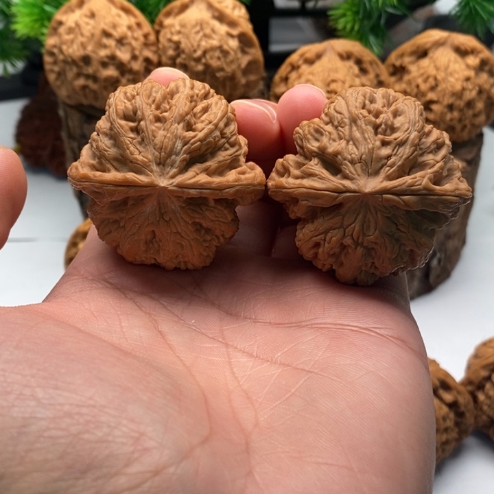 把件文玩核桃44全品大粗筋