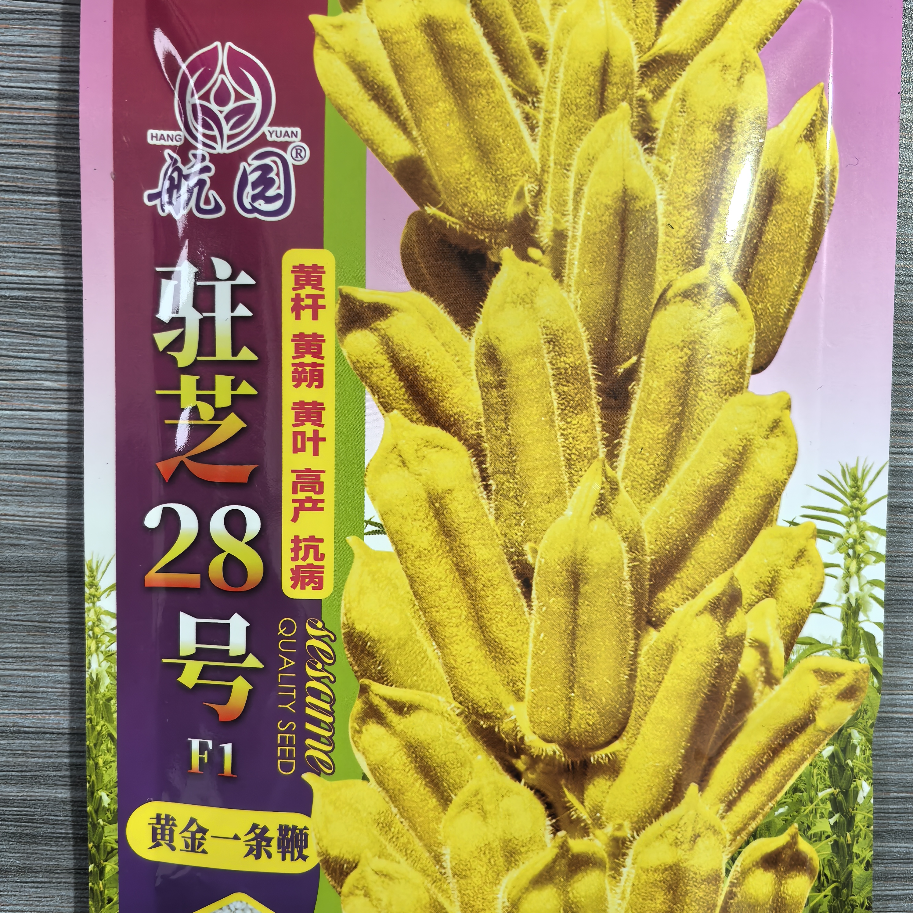 驻芝28高产矮脚黄金一条鞭种子黄杆黄蒴黄叶高产抗病正宗芝麻种子
