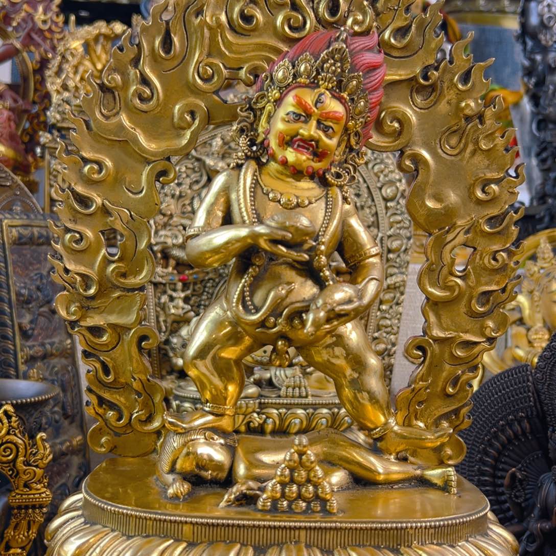 泓**族111111111111111111