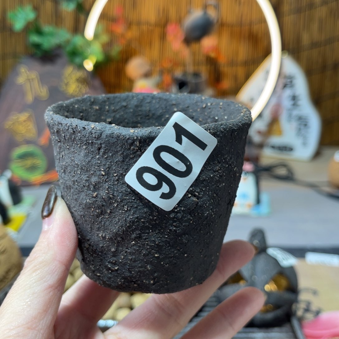 木村信弘柴烧保平