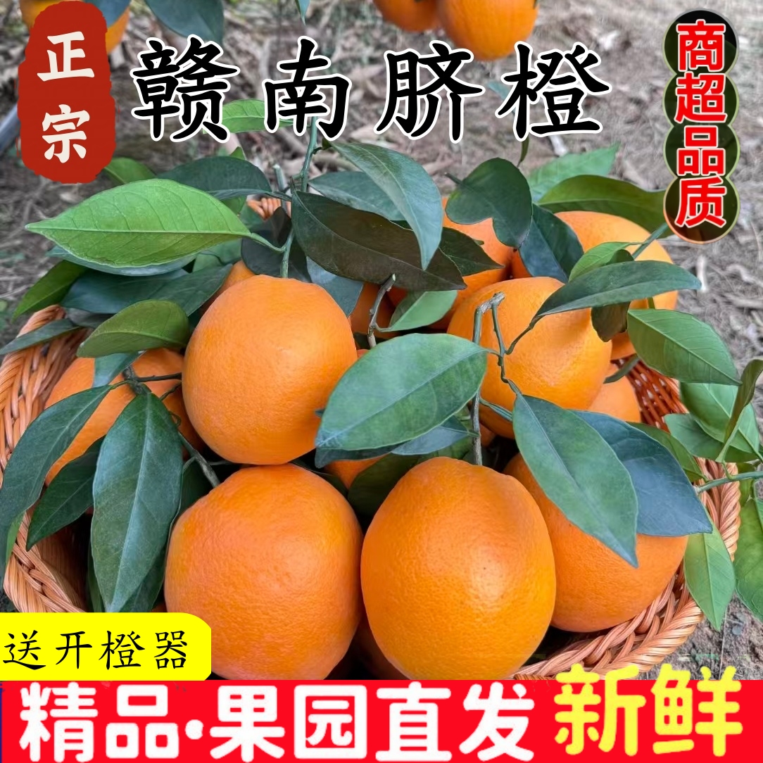 【产地直发】正宗赣南脐橙新鲜应季水果现采现发好吃看得见