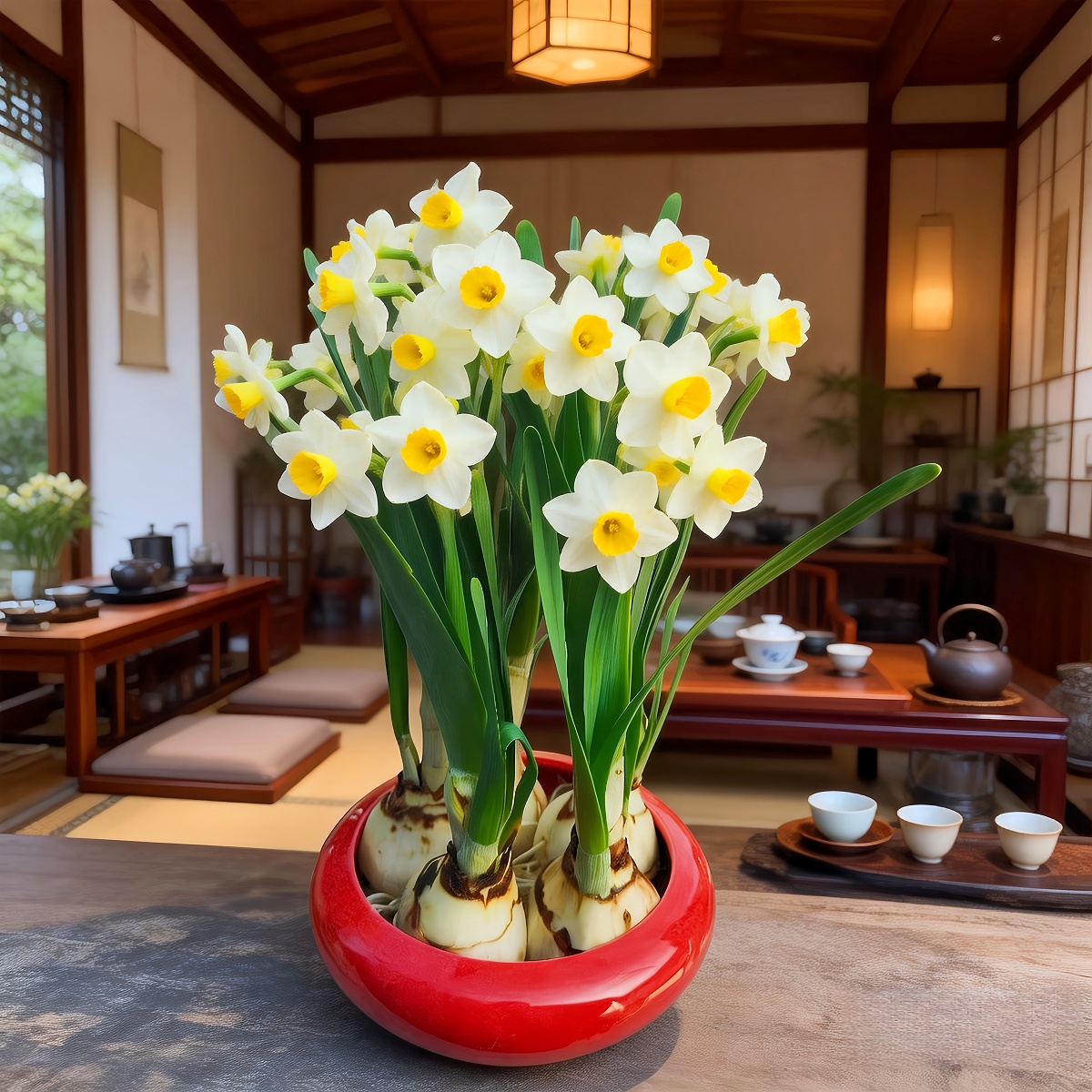 【带花苞】漳州正宗水仙花带陶瓷盆 浓香花卉室内外好养送礼年宵花