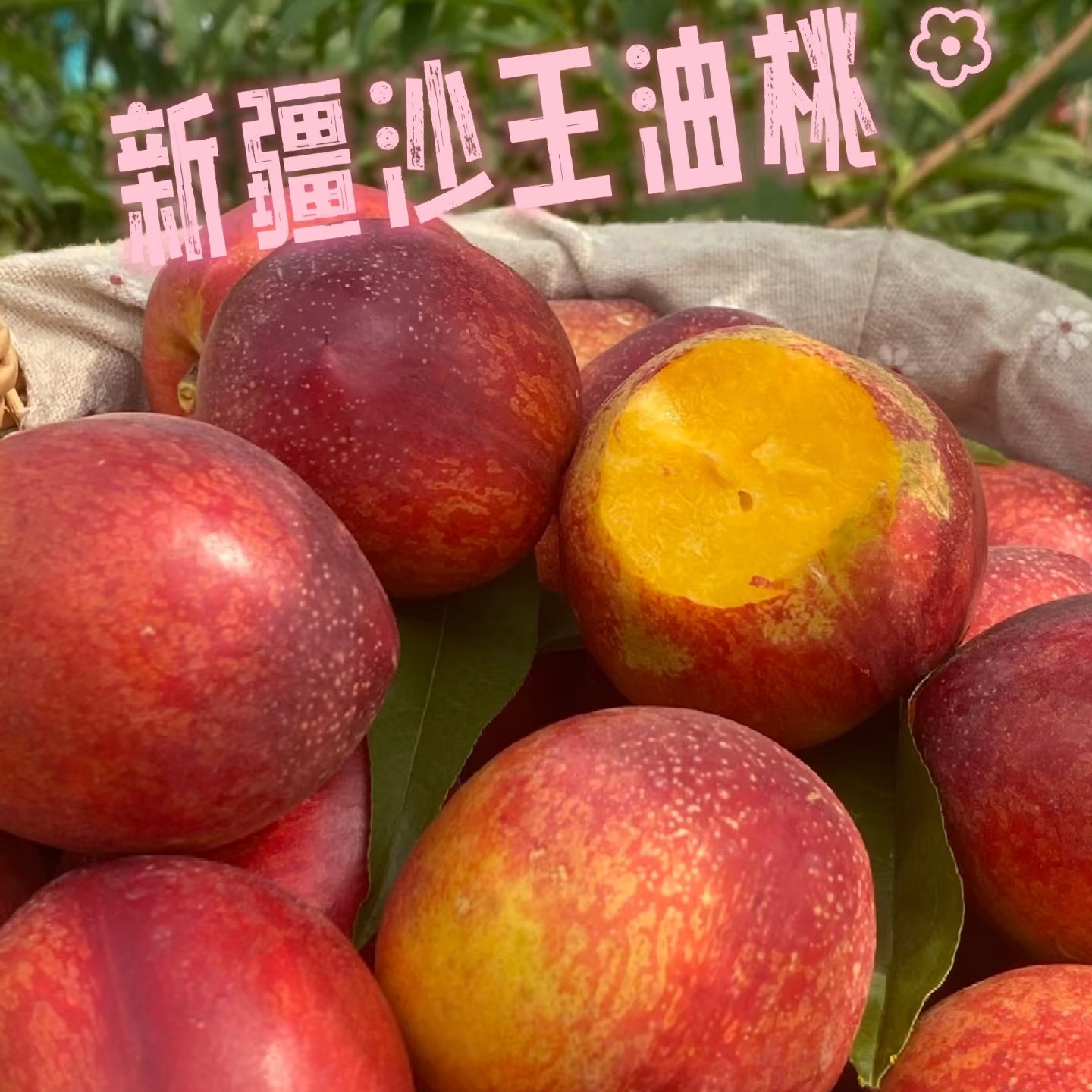 【达吾水果】新疆沙漠红油桃2斤特惠尝鲜装（同城骑手配送到家）新疆维吾尔自治区