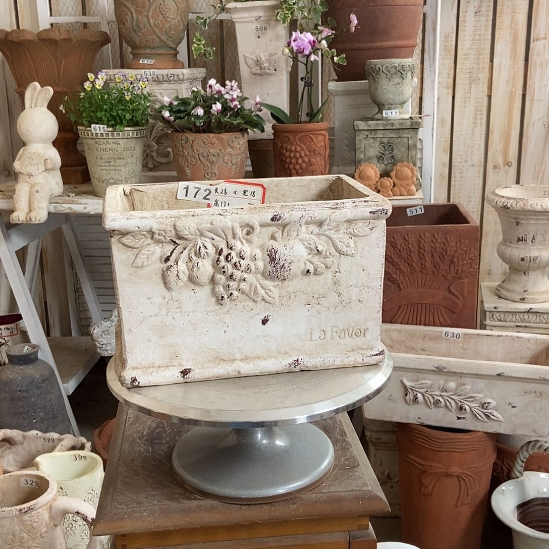 172水果长盆111111