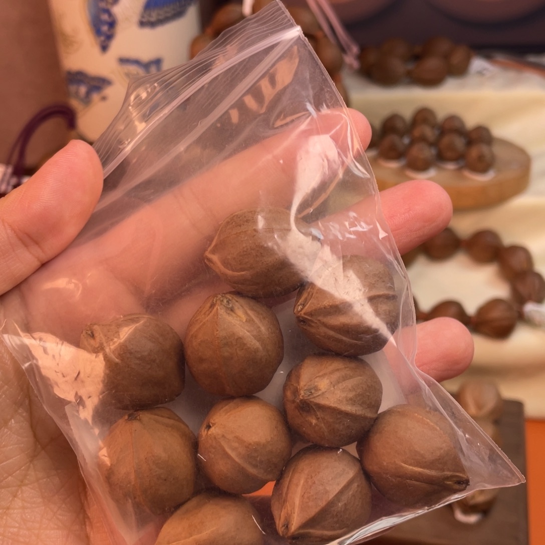 树***洞橄榄核手串/手链2125梅林铁核定制散籽