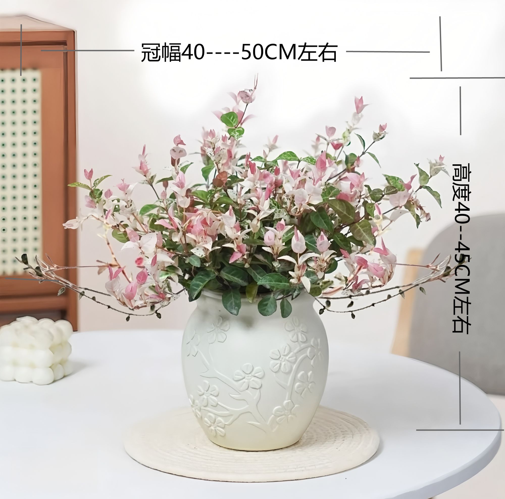 【花叶络石】阿哲室内阳台长藤五彩花叶络石变色藤苗四季观赏绿植