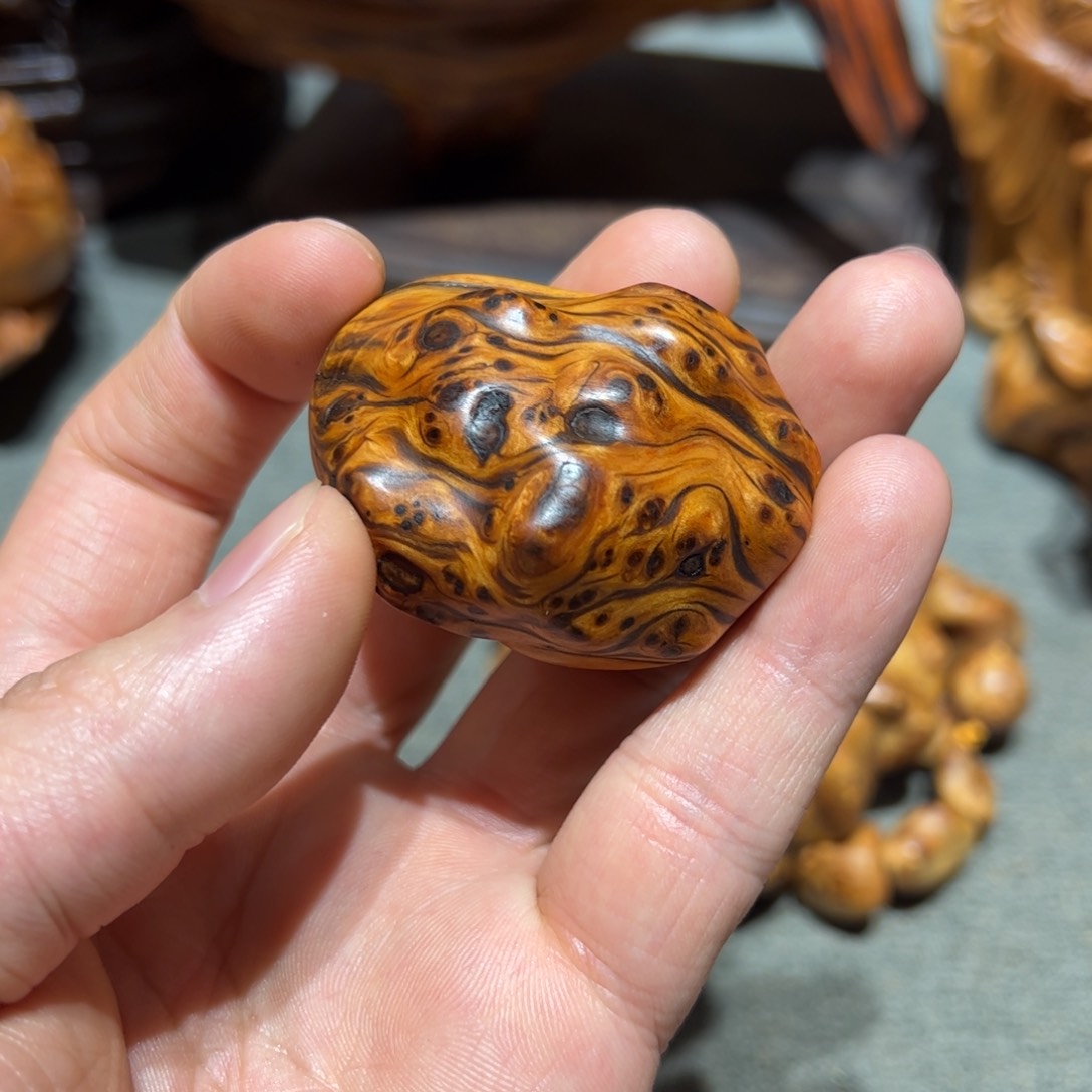 柏木（崖柏）太行崖柏陈化太行