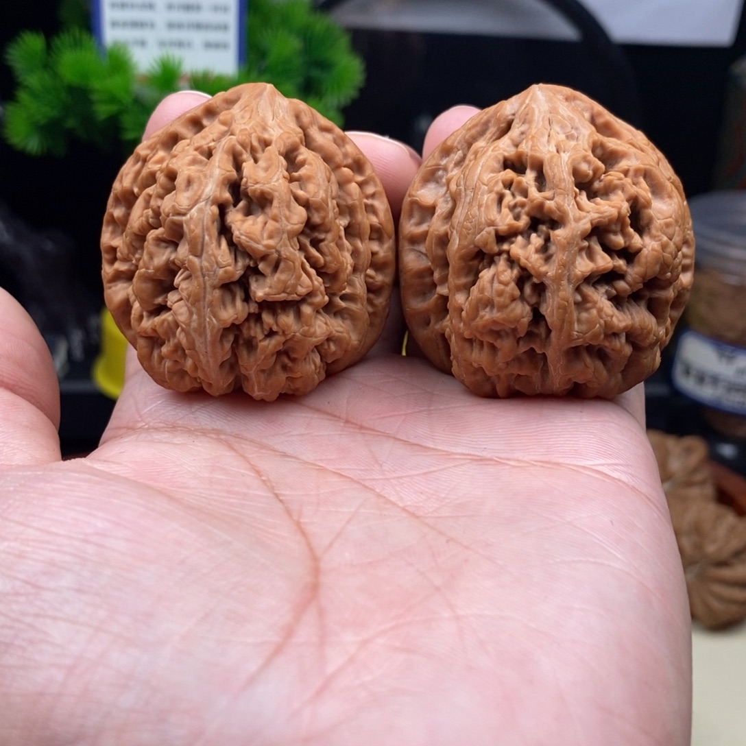 文玩核桃把件大粗筋45.5