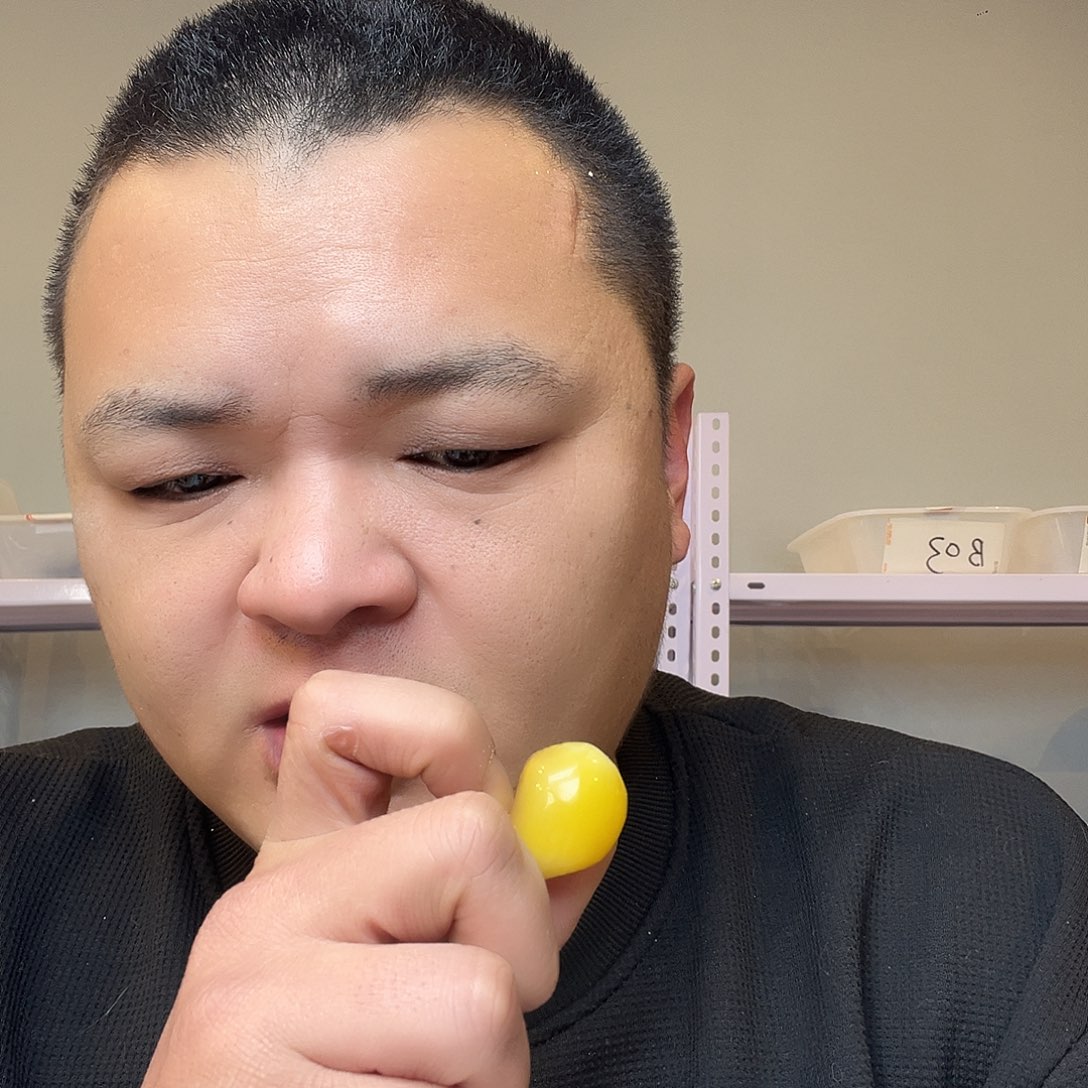 缅甸花梨（花梨木类）D29