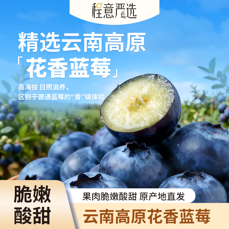 【程意严选】云南花香蓝莓高原种植脆嫩香甜2盒装