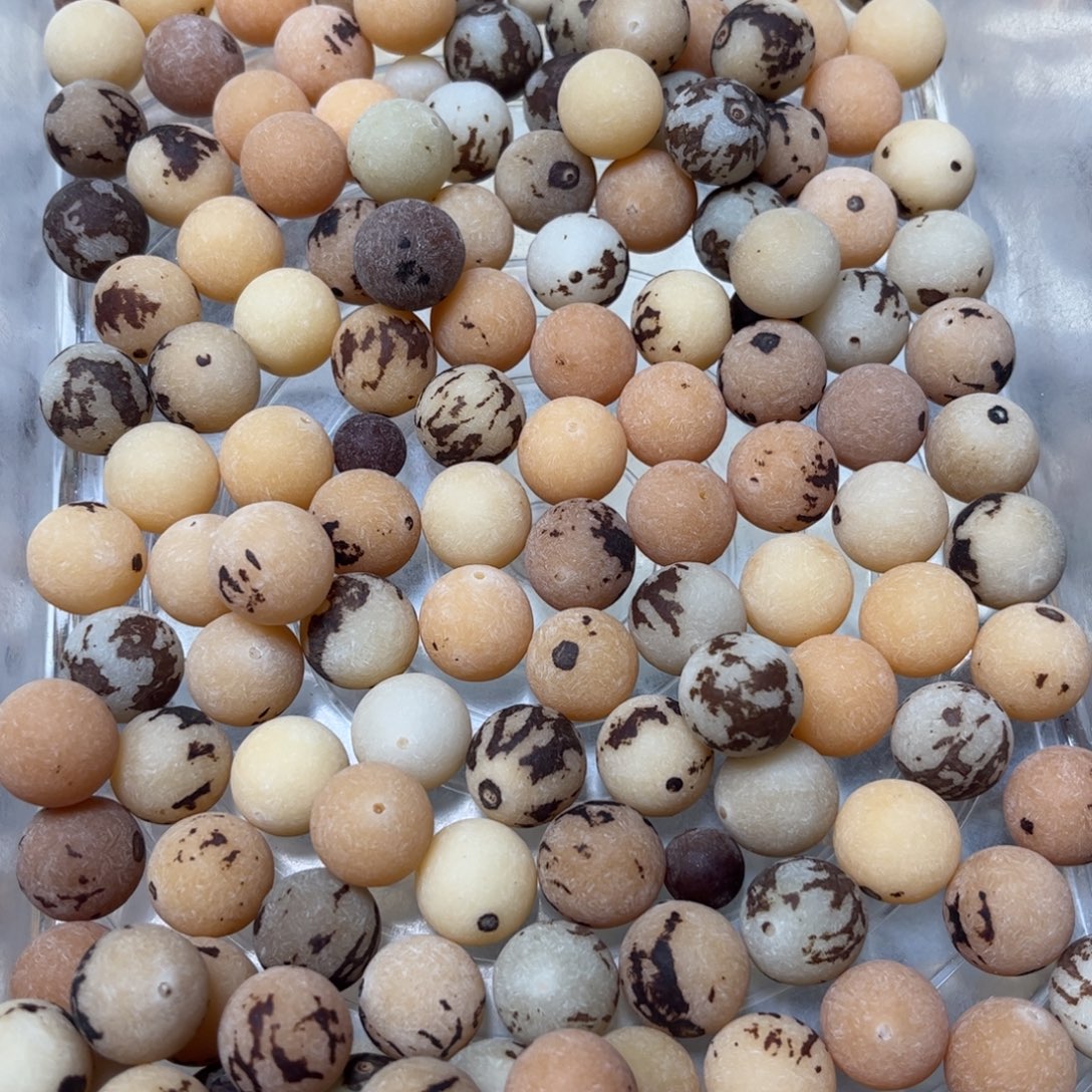 吊坠白玉菩提风化原子36克卡15