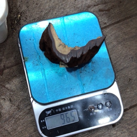 降真香其他红降原料