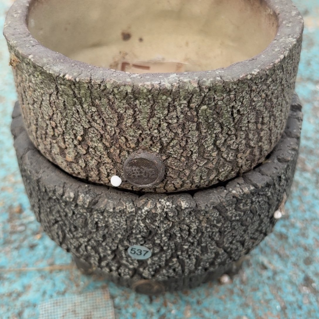 姜***l重庆小燕子欢迎大家