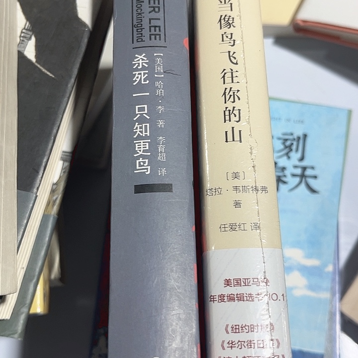 当鸟，知更鸟全新推荐
