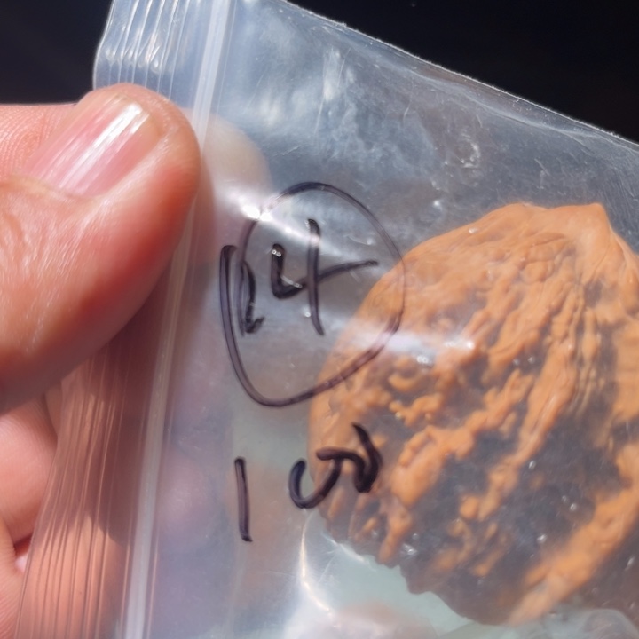 小***6文玩核桃吊坠14呃呃呃