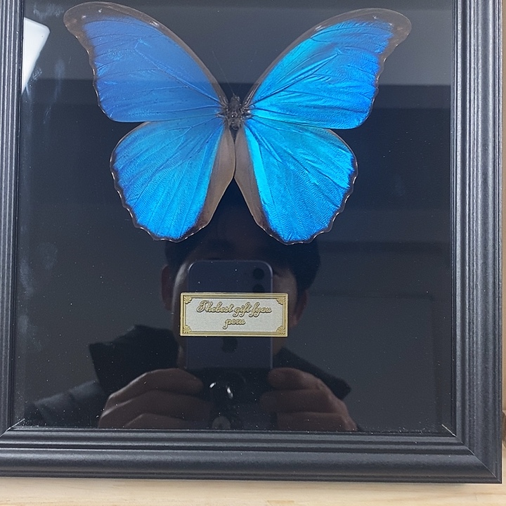 珐琅铁合金大蓝闪蝶