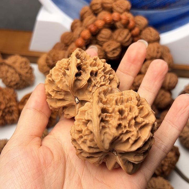 与**伴秦岭山脉的形成过程5