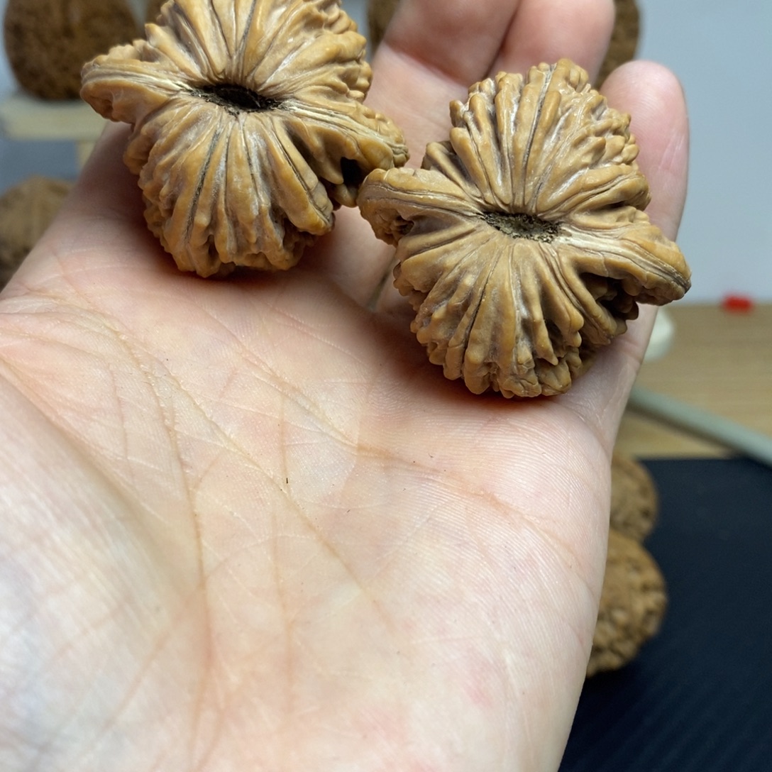 大叶紫檀（黑酸枝木类）43楼子