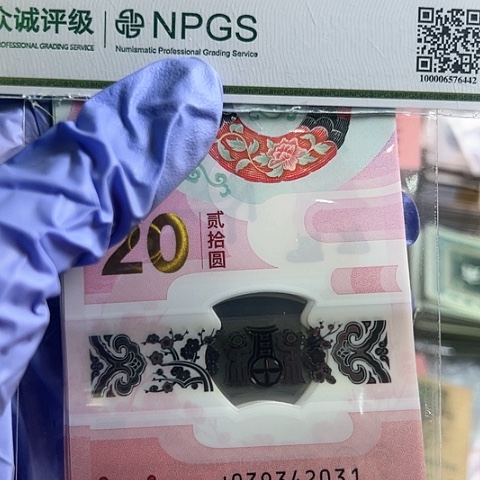 2025年蛇年纪念钞年份号一组2031到2040