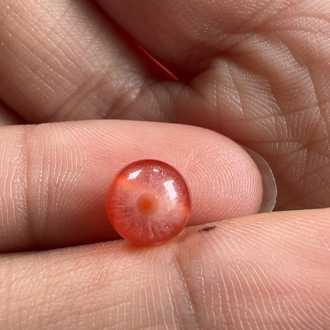 南红玛瑙天眼7.6未镶嵌蜘*