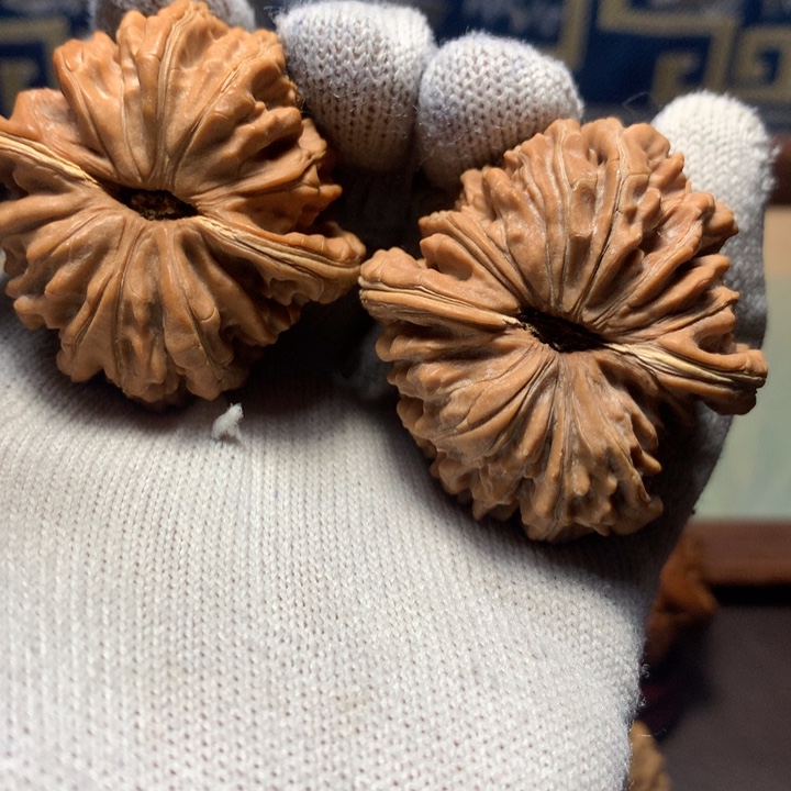 枷****哈哈哈哈哈哈哈哈哈