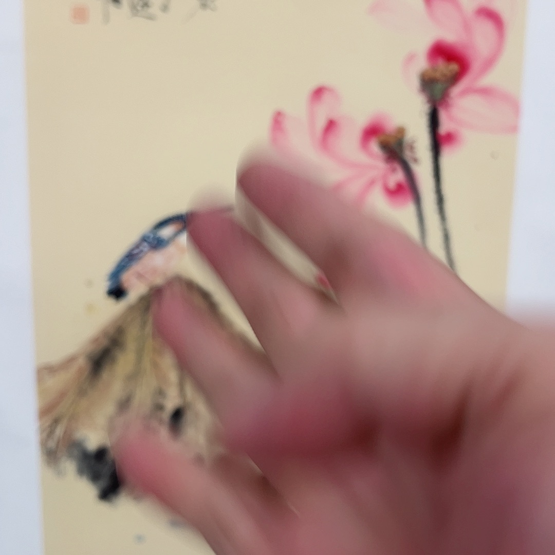 绘画蔡金顺国画作品