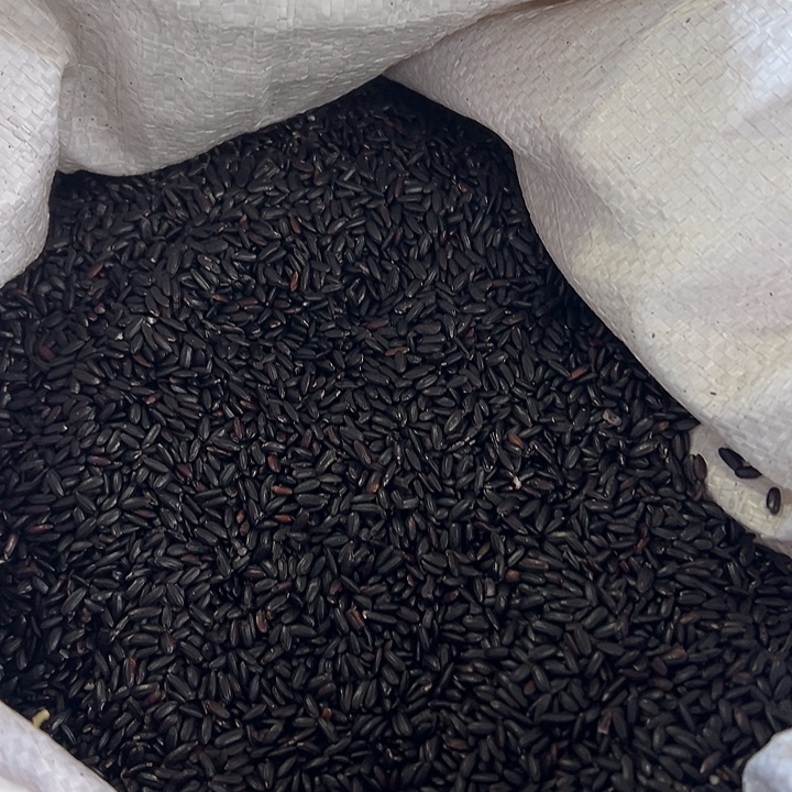 云南农家黑软米5斤