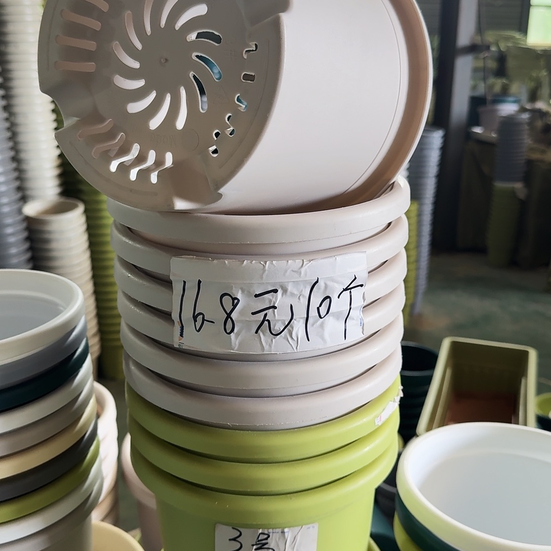 微瑕3#口径21无拖果绿10个