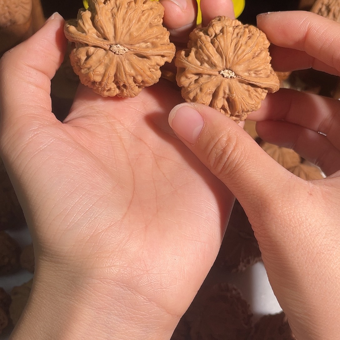 C***e把件文玩核桃43大粗筋