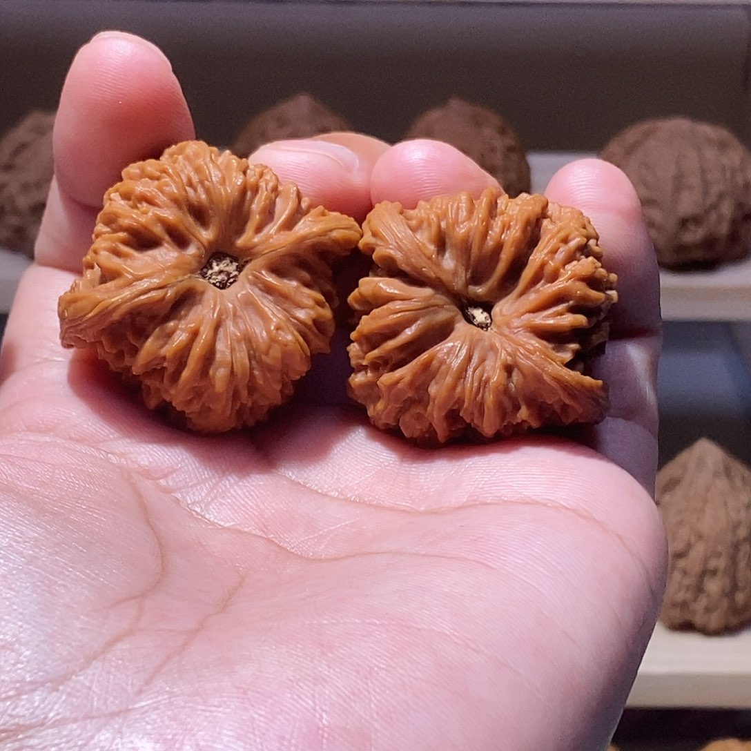 吊坠文玩核桃39尺深凹底南将石，全品