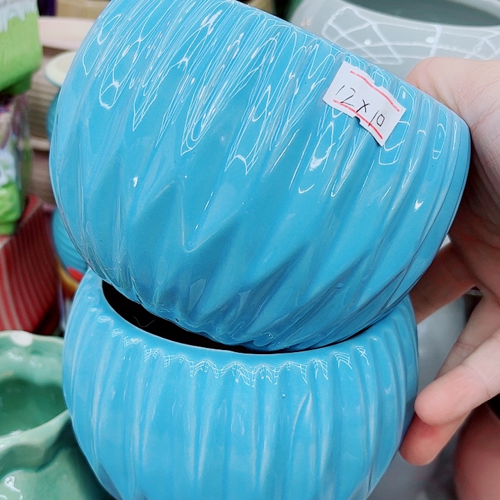 多肉植物陶瓷花盆