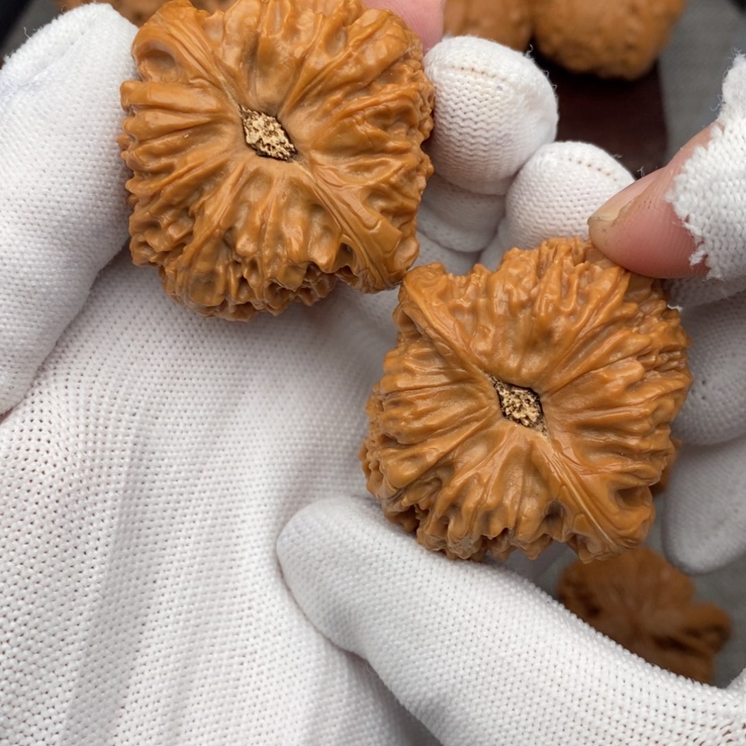 文玩核桃把件44炮弹凹底南疆