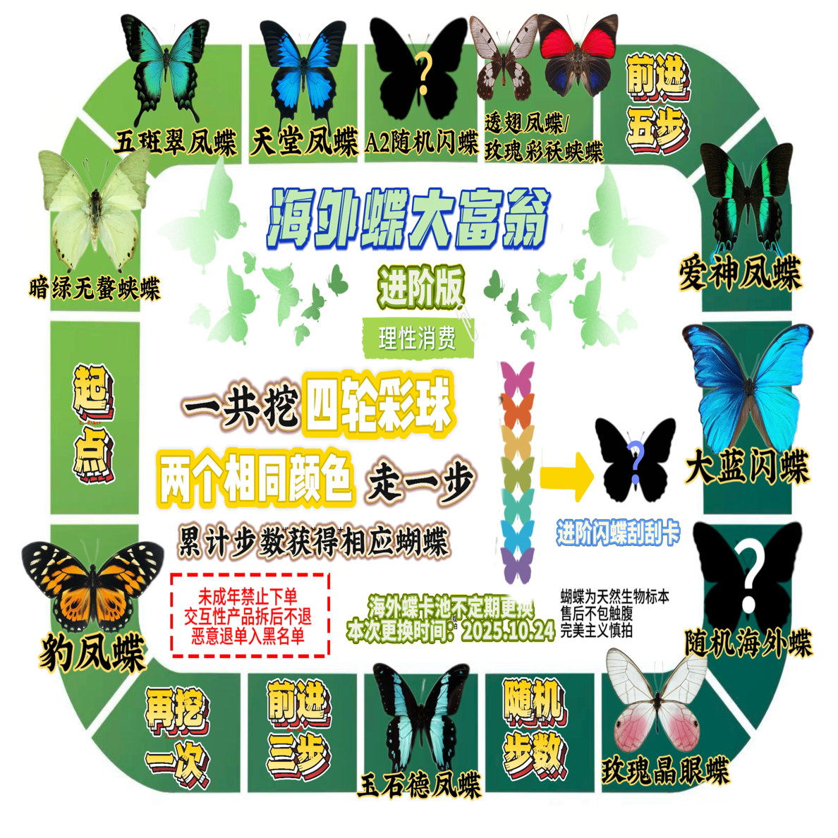 【海外蝶挖挖乐进阶版】真蝴蝶标本可挂可立礼物定制带相框