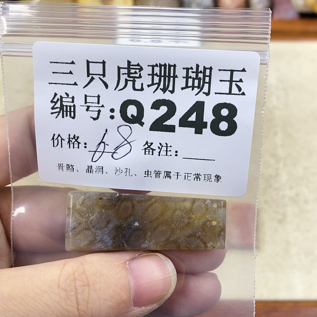 硅化珊瑚（珊瑚玉）1未镶嵌粒***界