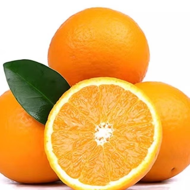 （10斤福利）正宗赣南脐橙精品中大果江西赣州安远产地现摘现发