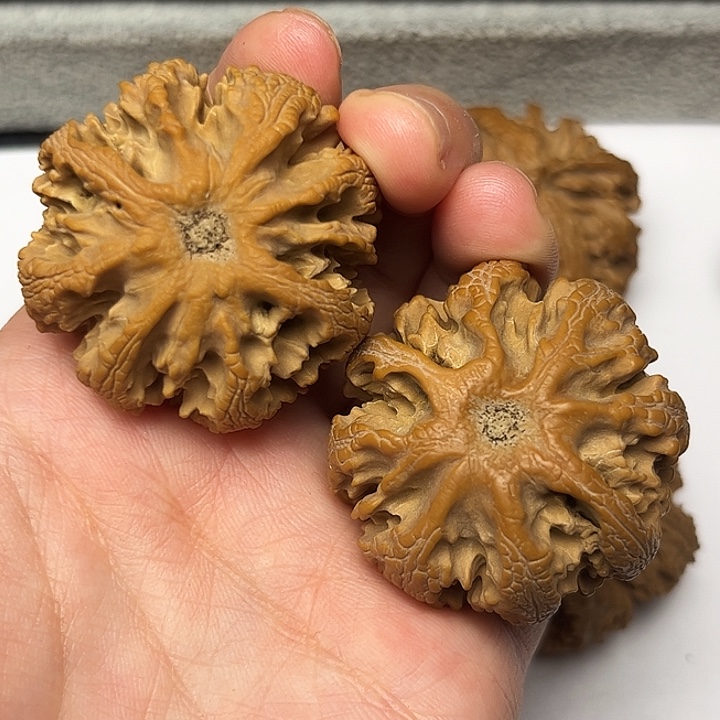 秦岭文玩核桃核桃