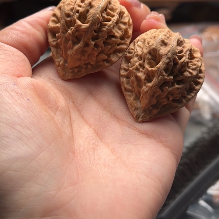 文玩核桃把件关东木子楸百核15