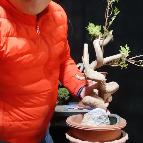 永***败无花朵好好好好好好好好好