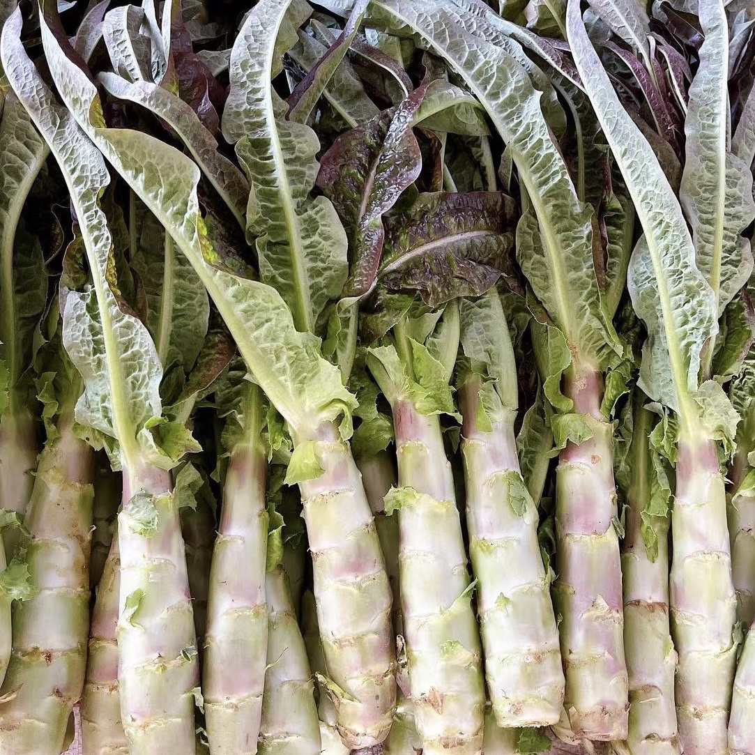 （浙江）生态种植，无农残莴笋，现摘现发，当季新鲜火锅蔬菜