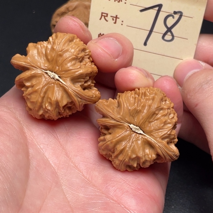 把件文玩核桃白狮子40尺以打底78