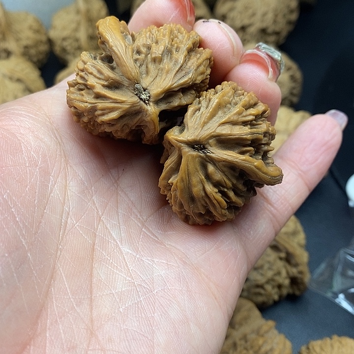 观***•大叶紫檀（黑酸枝木类）野生68