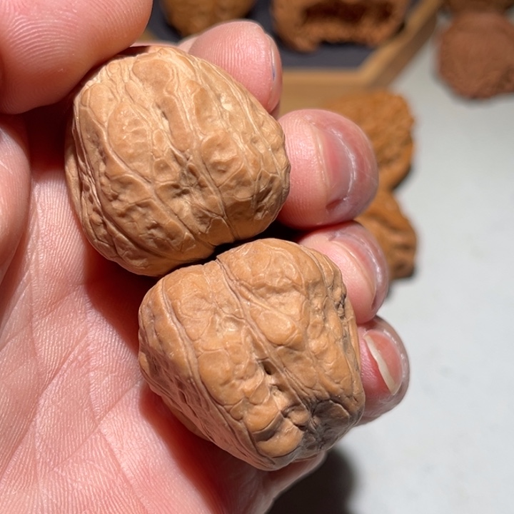 把件文玩核桃37上古玉蟾