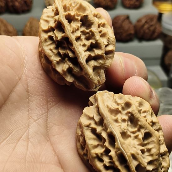 文玩核桃吊坠大楸核桃3号