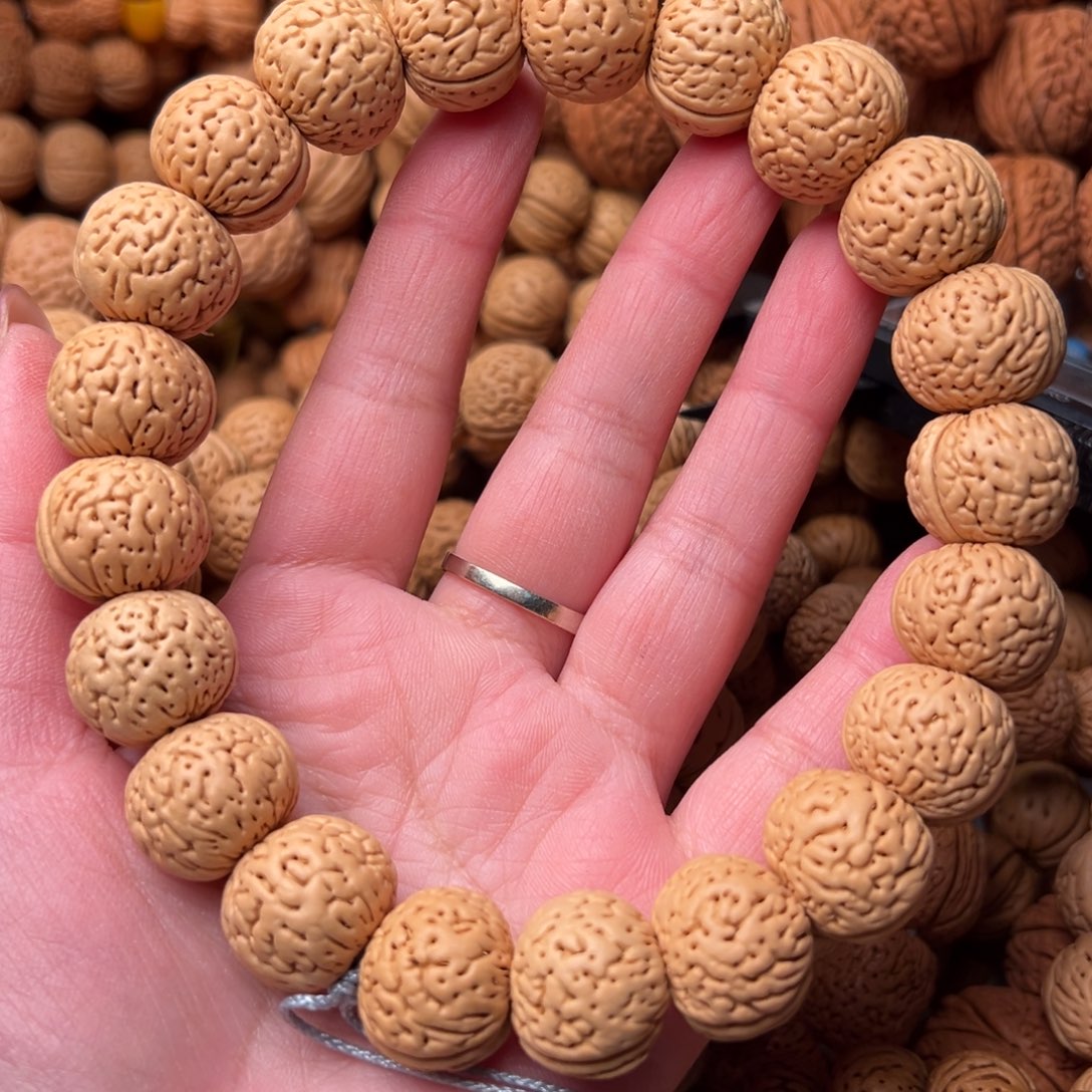 18尺寸苹果圆手持