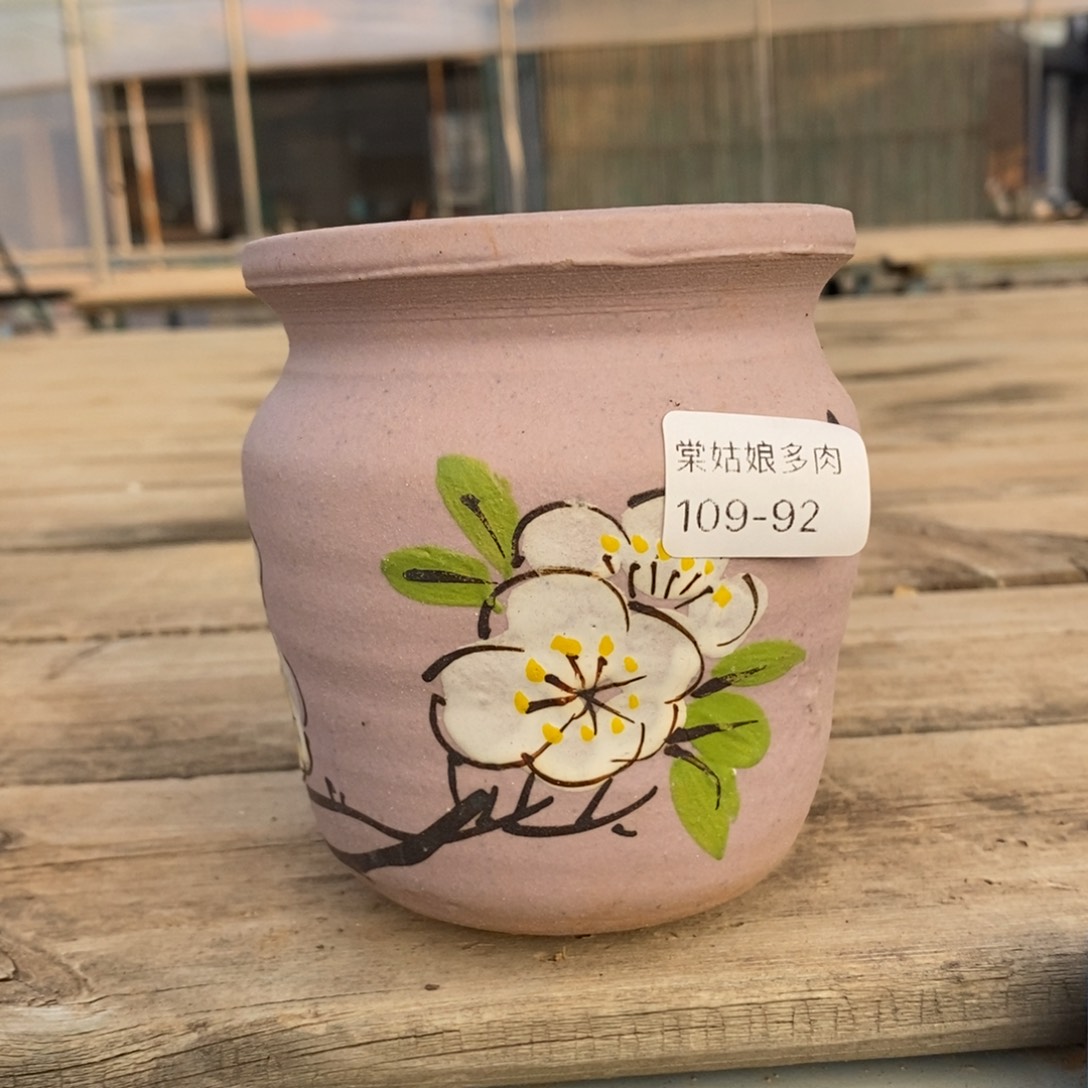 92号多肉盆小可爱