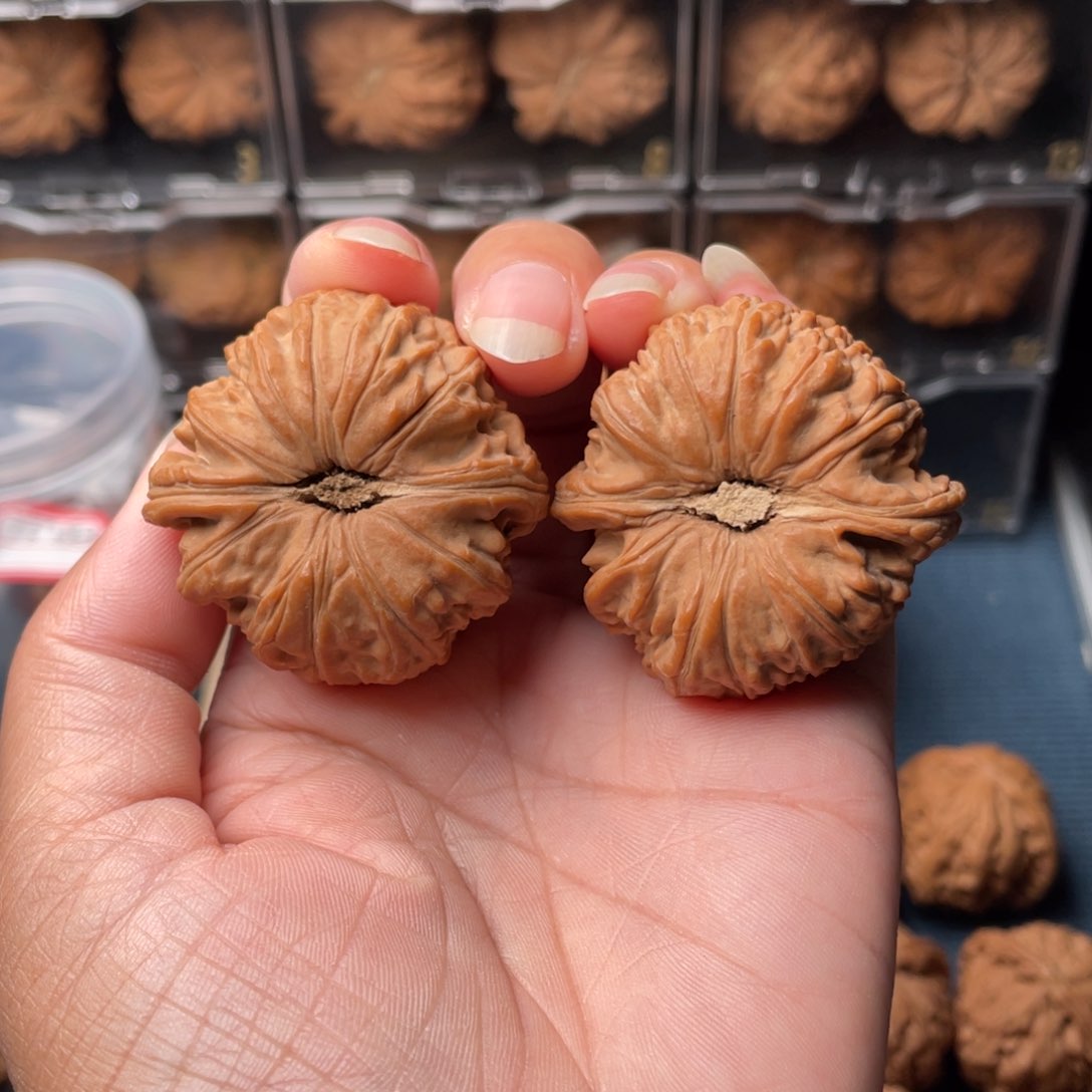 文玩核桃把件?***42球白