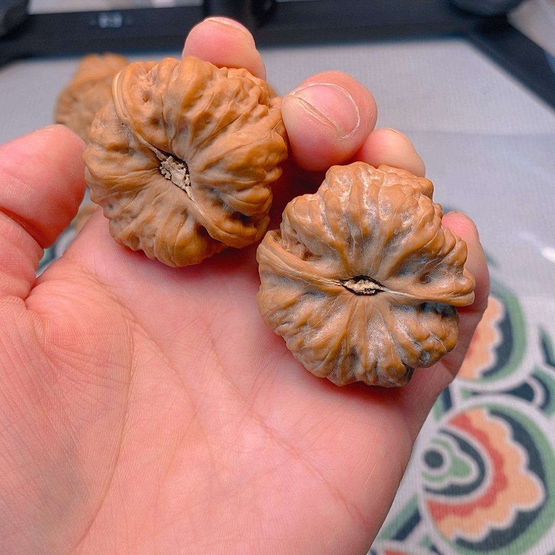 文玩核桃把件蛤蟆全品38