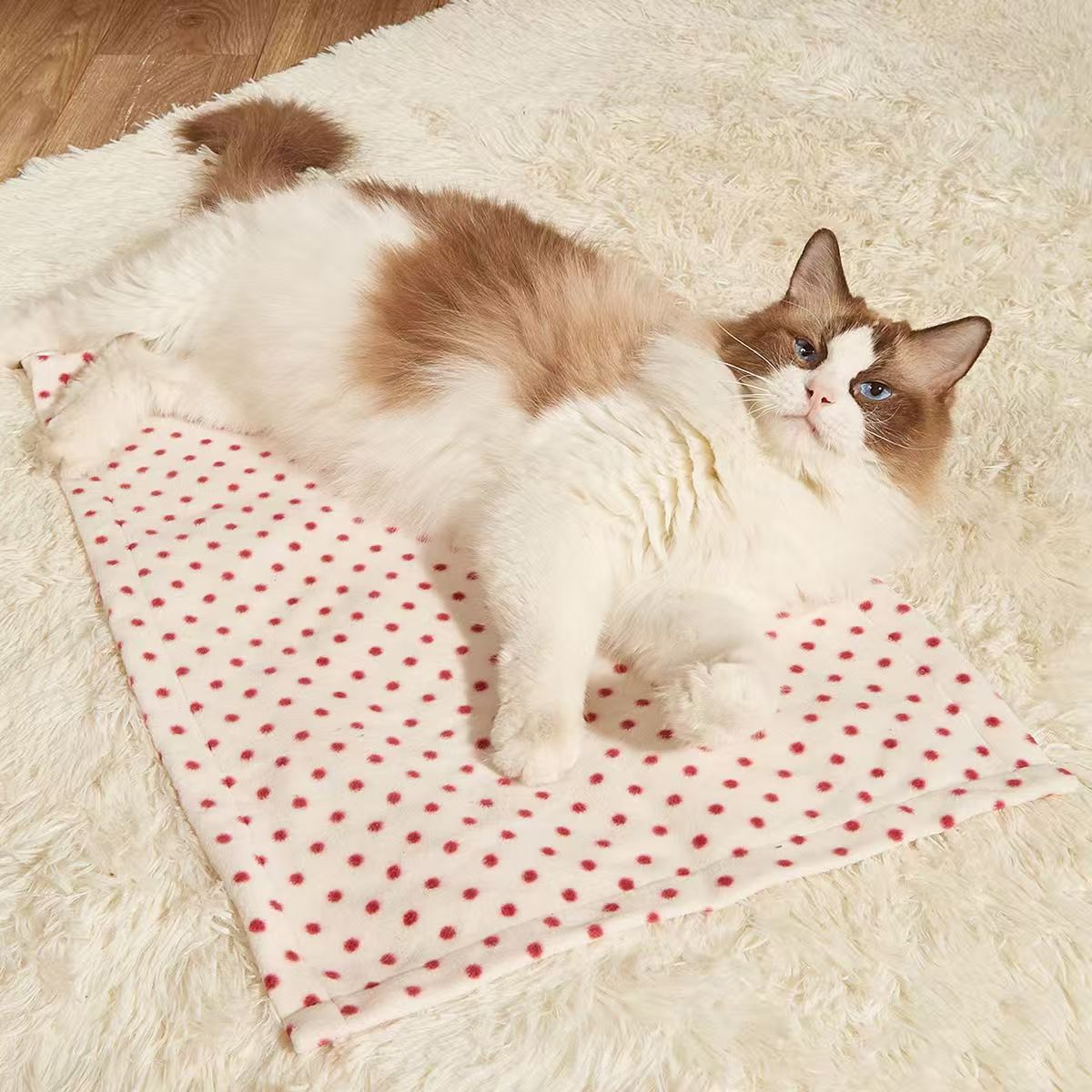 70*100cm四季羊羔绒双面保暖盖毯一毯多用颜色花型随机